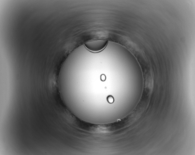 X0000098090518200804111005