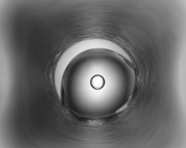 X0000098090520200804111005