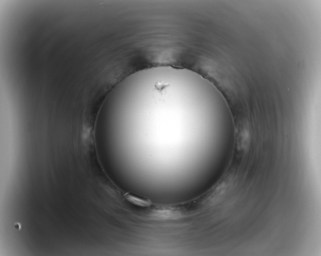X0000098090521200804111005