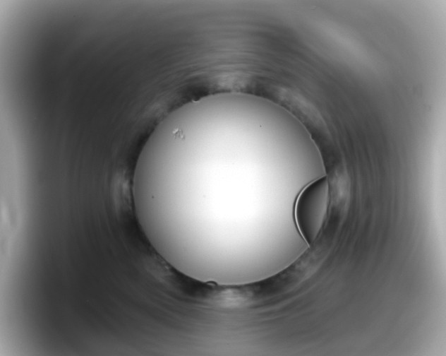 X0000098090522200804111005