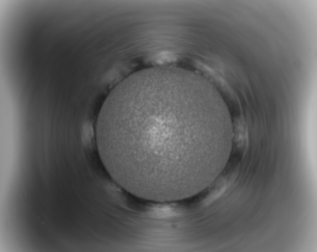 X0000098090523200804111005