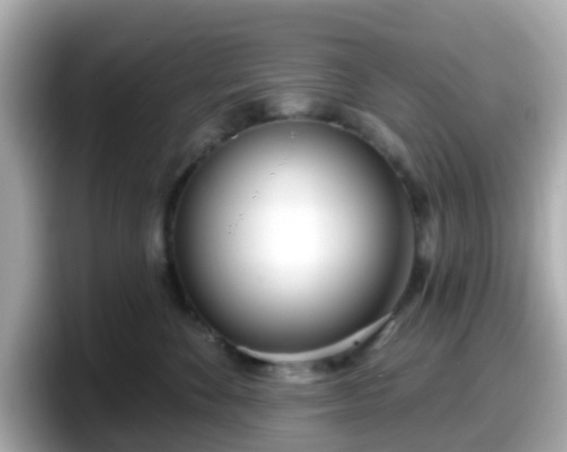 X0000098090524200804111005