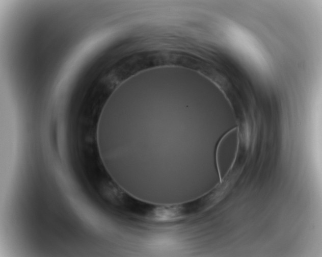 X0000098090526200804111005
