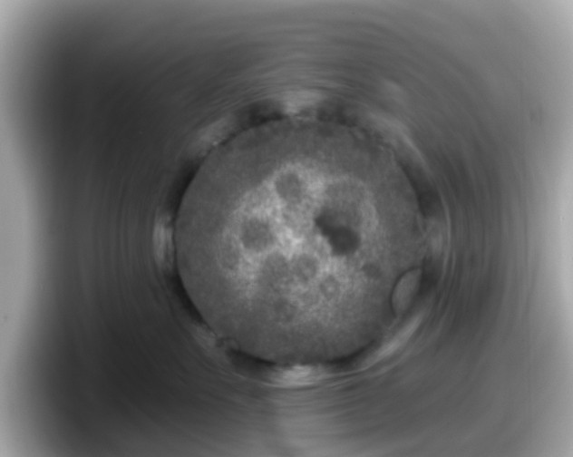 X0000098090527200804111005
