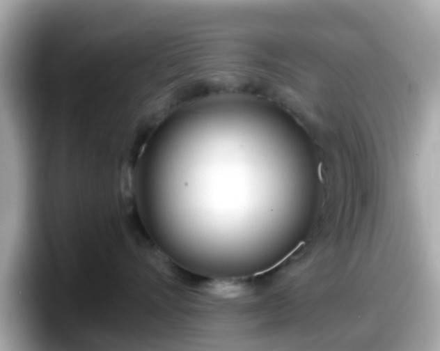 X0000098090528200804111005