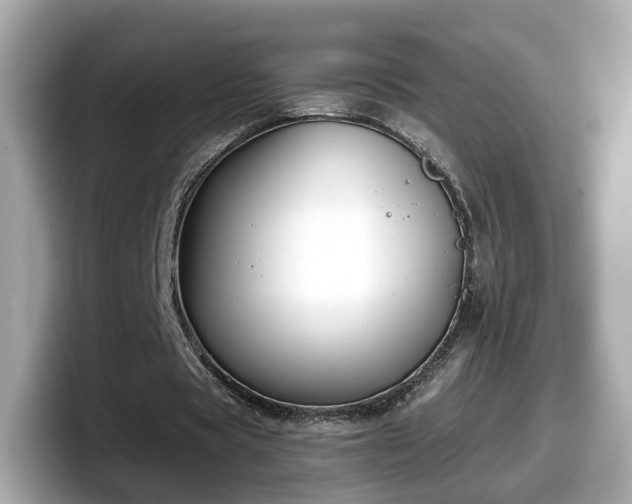 X0000098090529200804111004