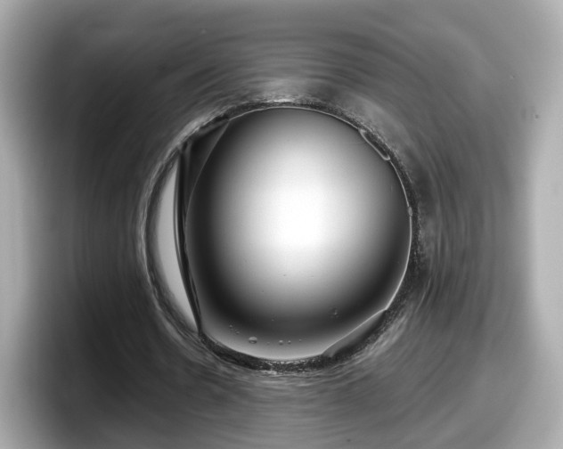 X0000098090530200804111004
