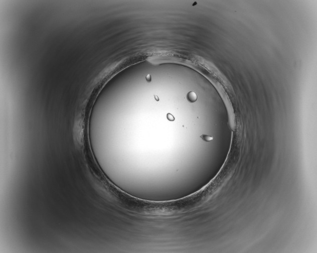 X0000098090533200804111004