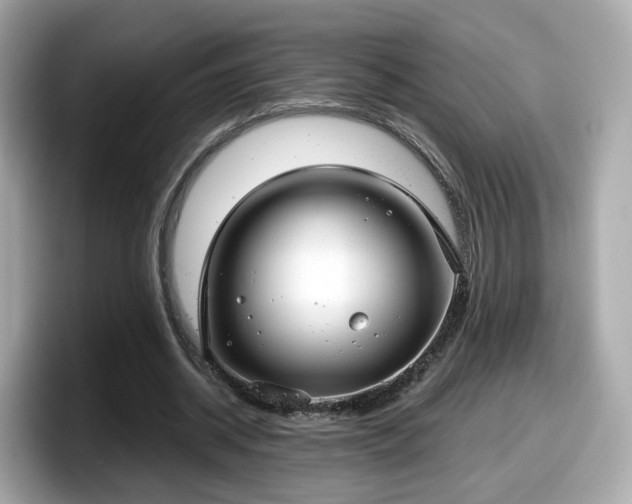 X0000098090534200804111004
