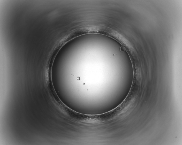 X0000098090537200804111004