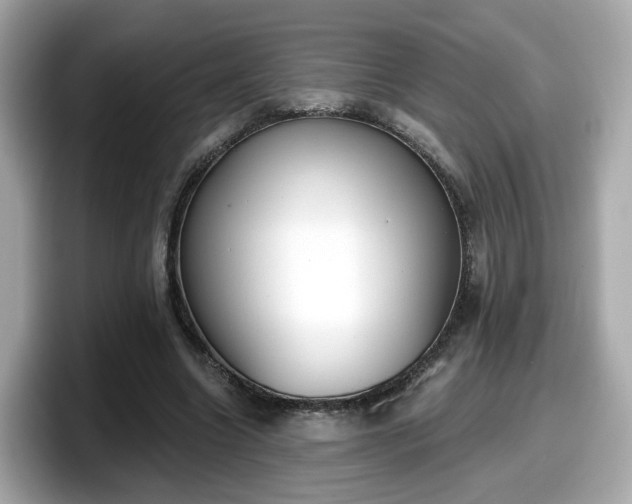 X0000098090538200804111004