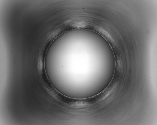 X0000098090541200804111005