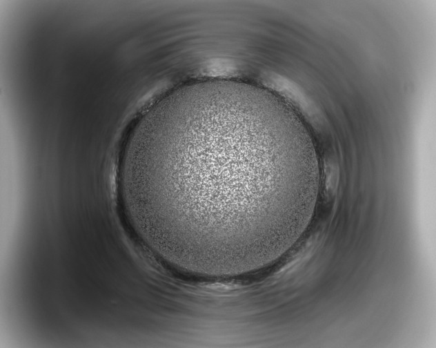 X0000098090542200804111005
