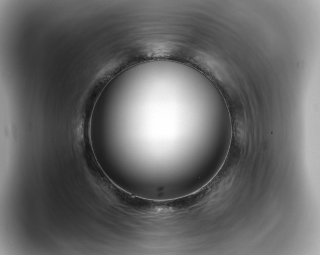 X0000098090543200804111005