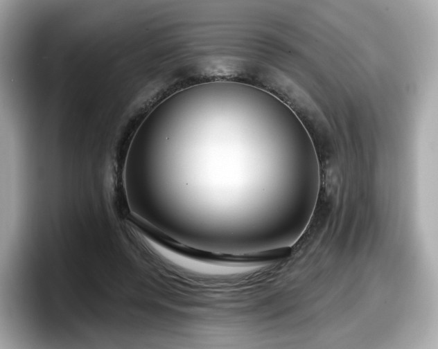 X0000098090544200804111005