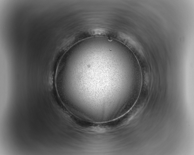 X0000098090545200804111005