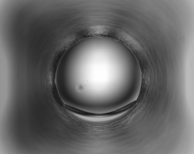 X0000098090546200804111005