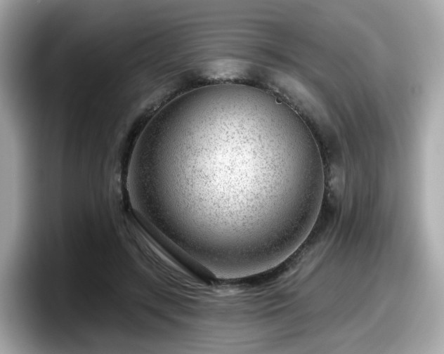 X0000098090547200804111005