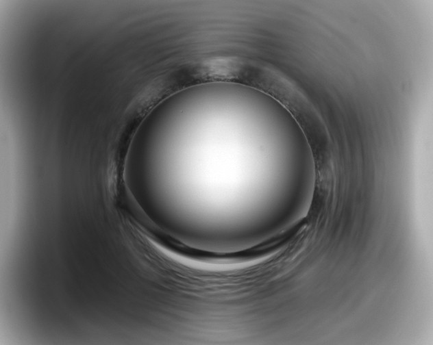 X0000098090552200804111005