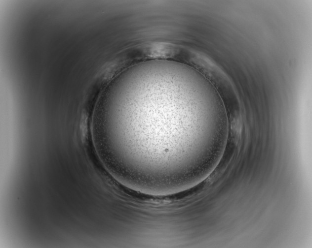 X0000098090554200804111005