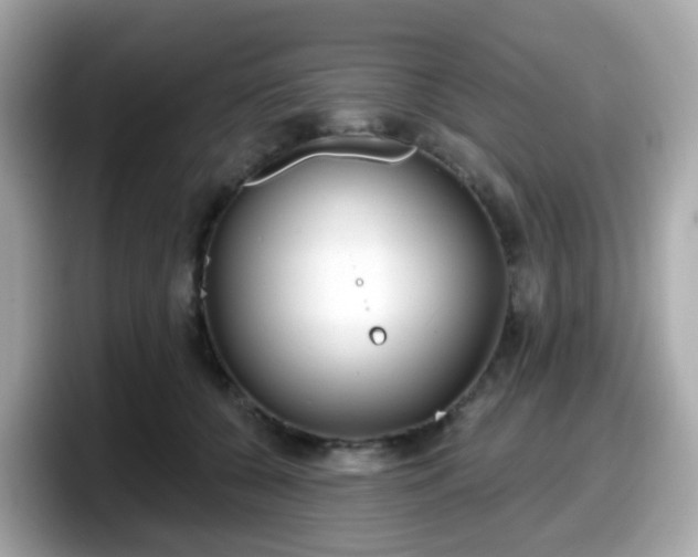 X0000098090560200804111005