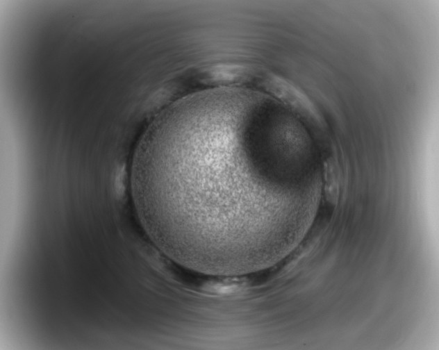 X0000098090563200804111005