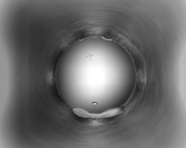 X0000098090564200804111005
