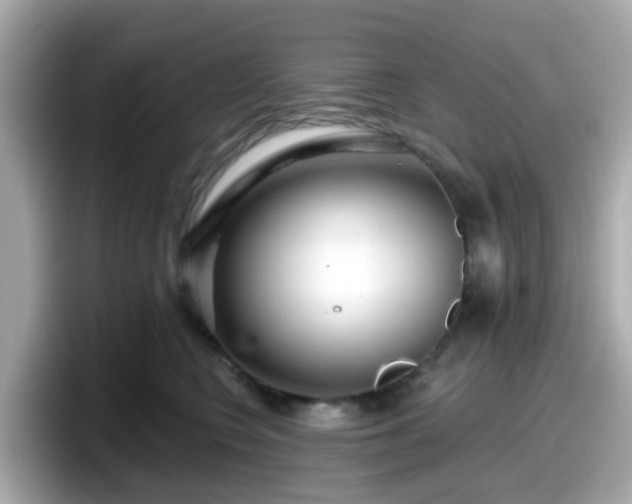 X0000098090566200804111005