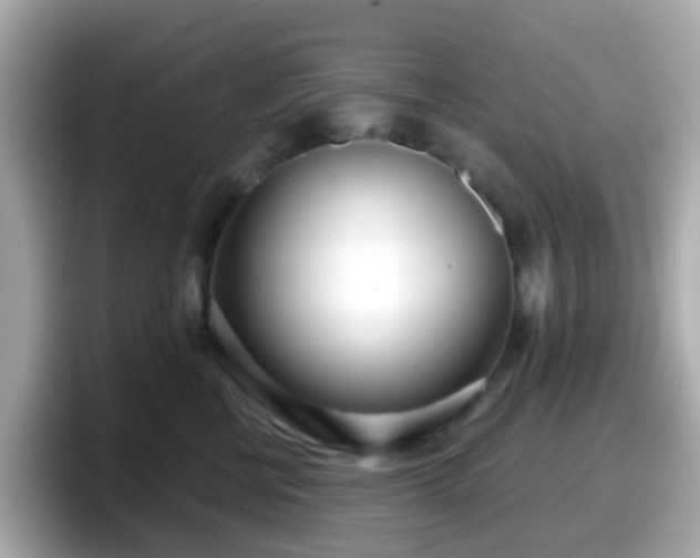 X0000098090570200804111005