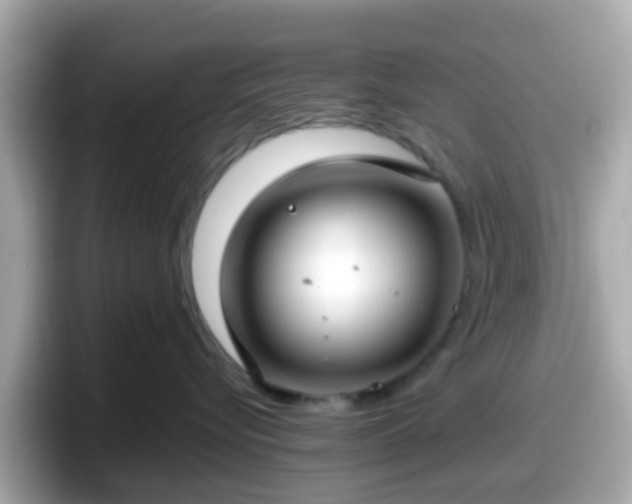X0000098090576200804111005