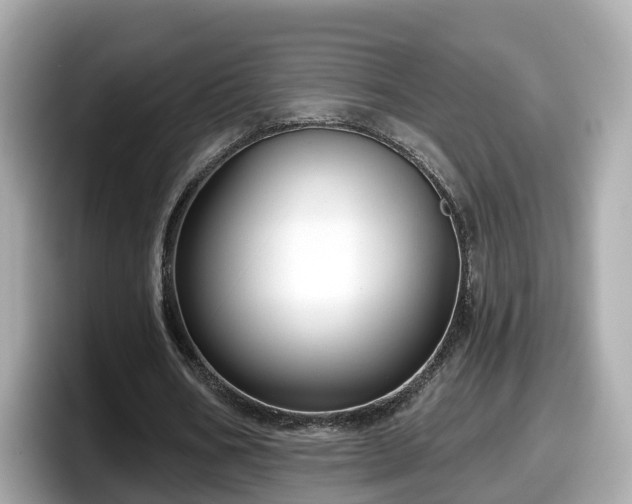 X0000098090578200804111004