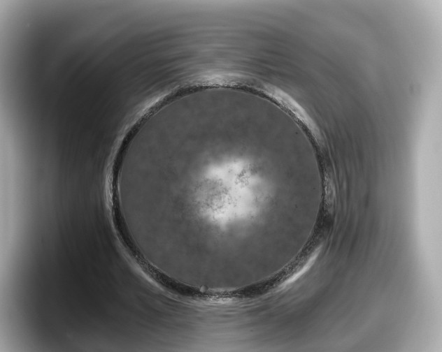 X0000098090581200804111004