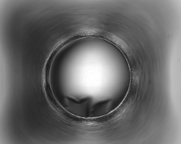 X0000098090582200804111004