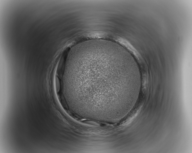X0000098090585200804111004