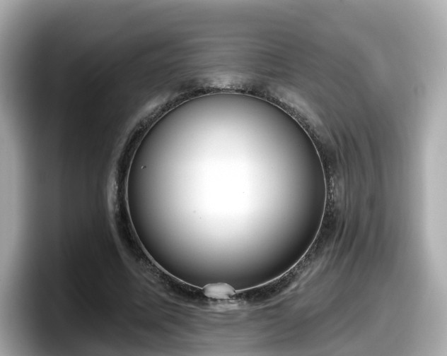 X0000098090587200804111004