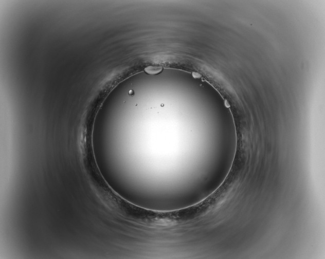 X0000098090592200804111004