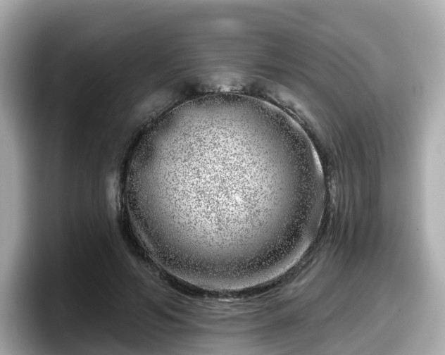 X0000098090594200804111004