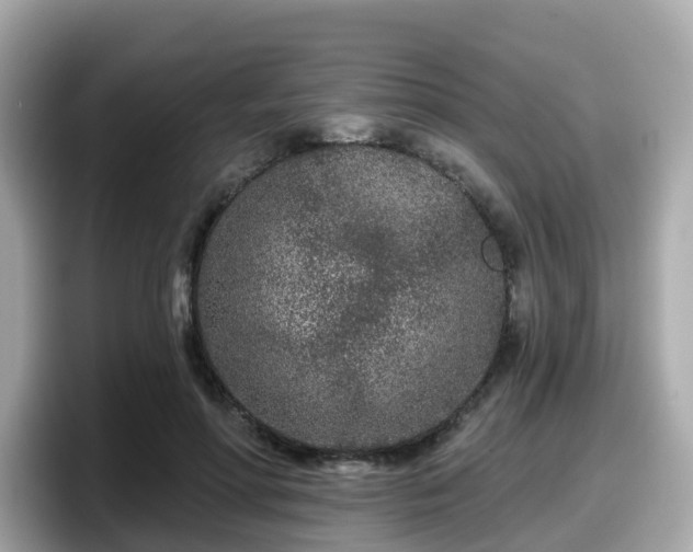 X0000098090598200804111004