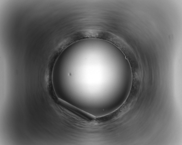 X0000098090600200804111004