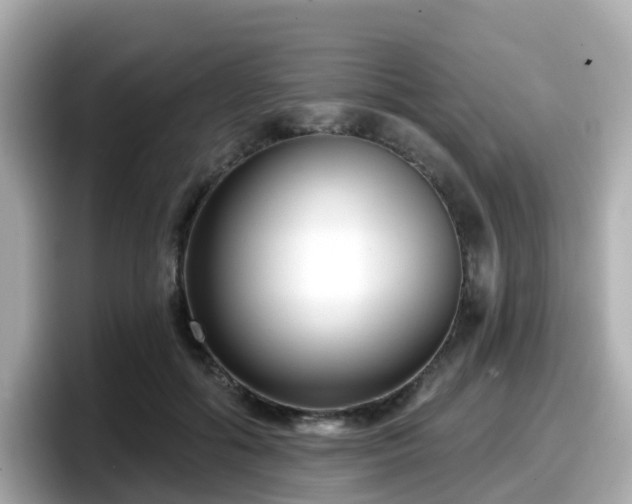 X0000098090602200804111004