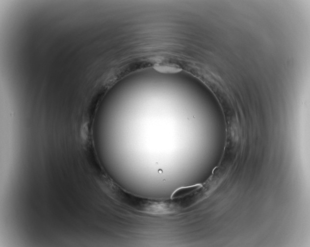 X0000098090611200804111004