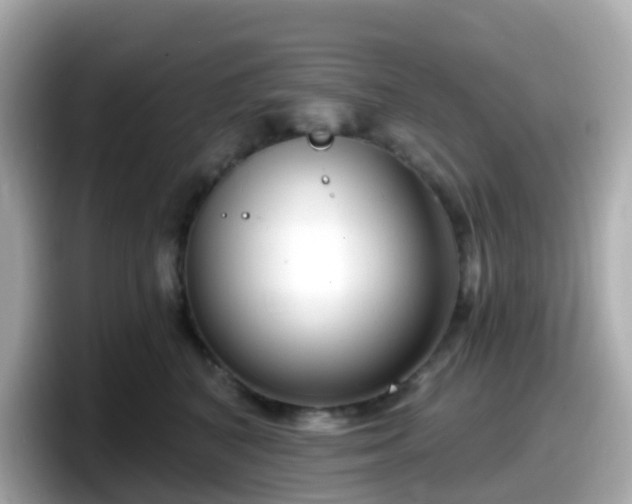 X0000098090616200804111004