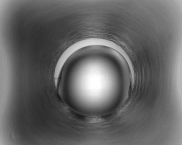 X0000098090621200804111004