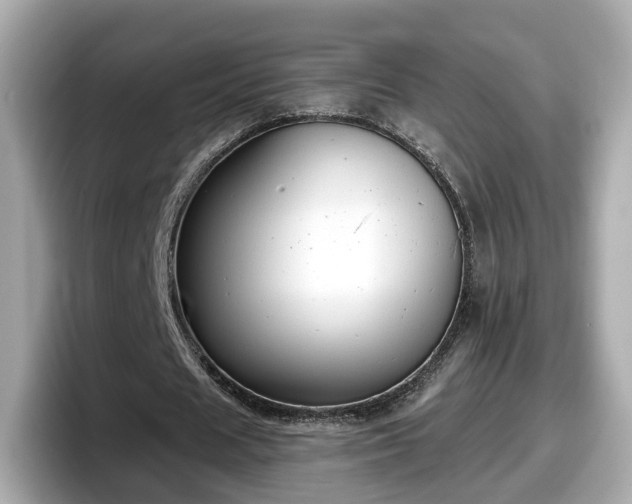 X0000098090625200804111003