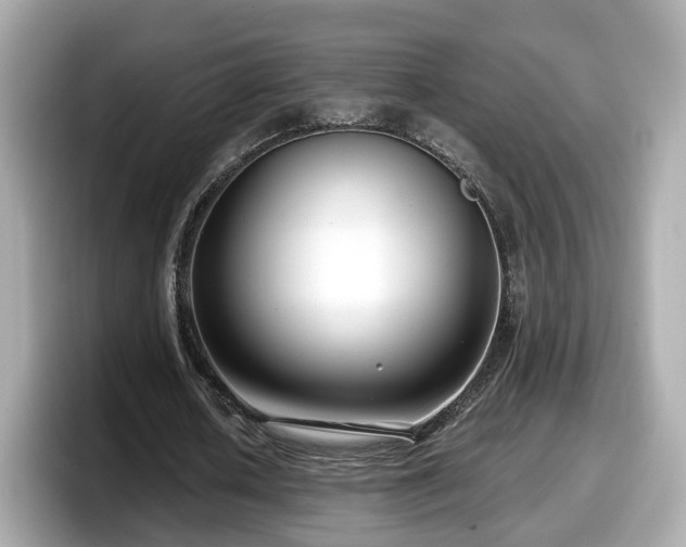 X0000098090626200804111003