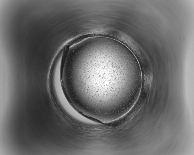 X0000098090628200804111003