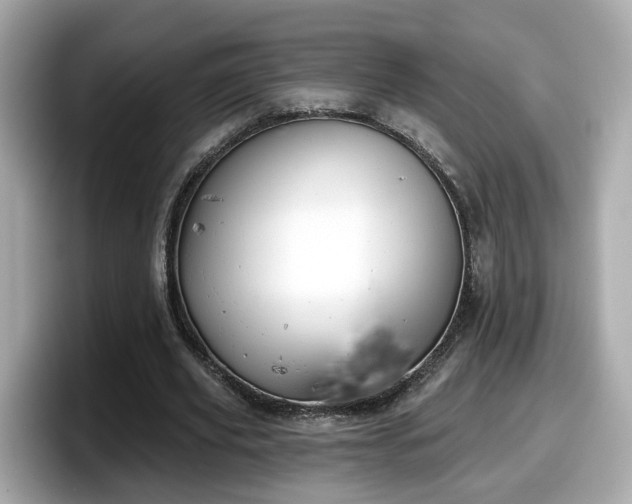 X0000098090629200804111003