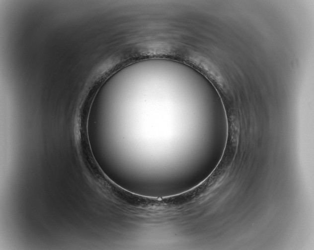 X0000098090631200804111003