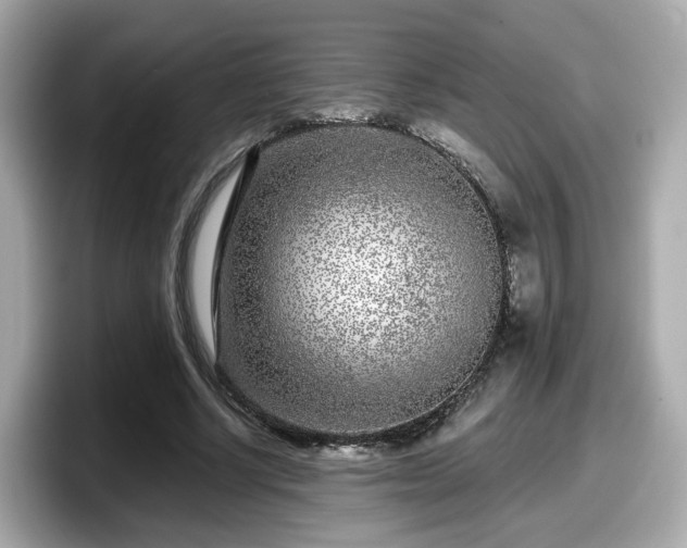 X0000098090634200804111003