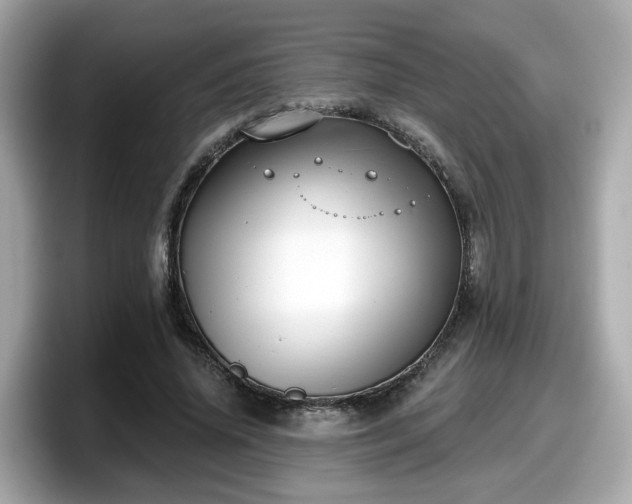 X0000098090636200804111003